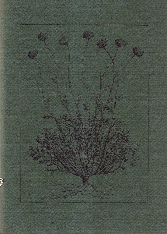 Seven Poems | Immagine Gallery 2