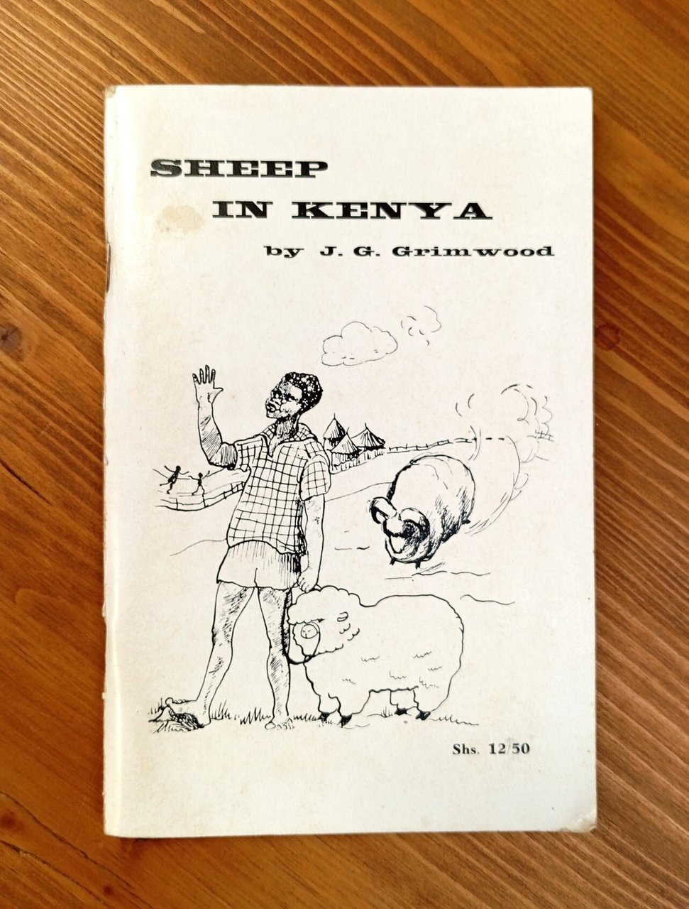 Sheep in Kenya