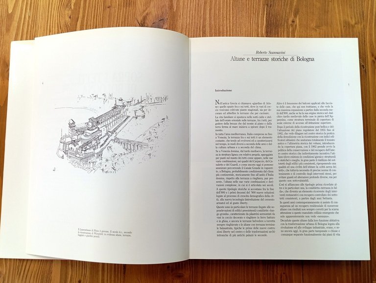 Sopra i tetti di Bologna. Altane e terrazze storiche