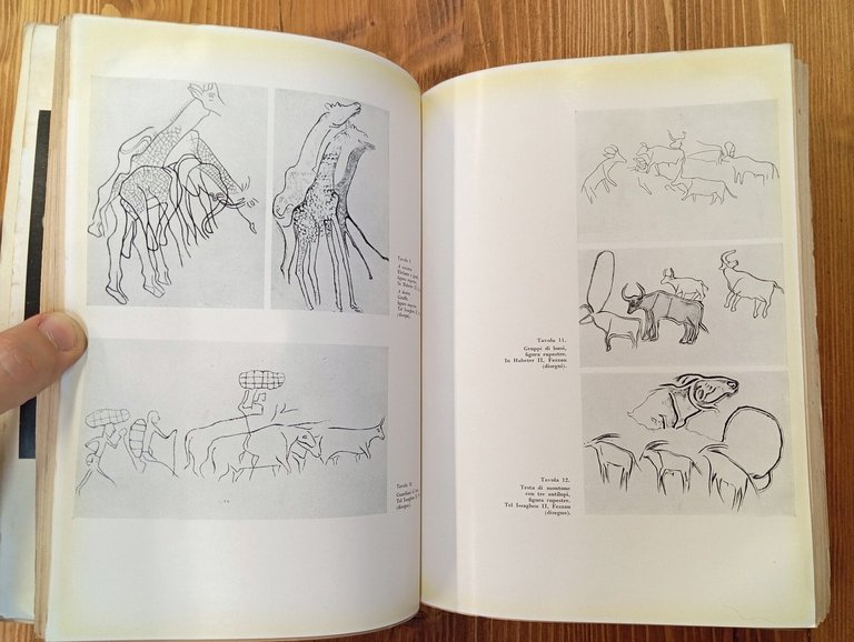 Storia della civiltà africana. Prolegomeni di una morfologia storica