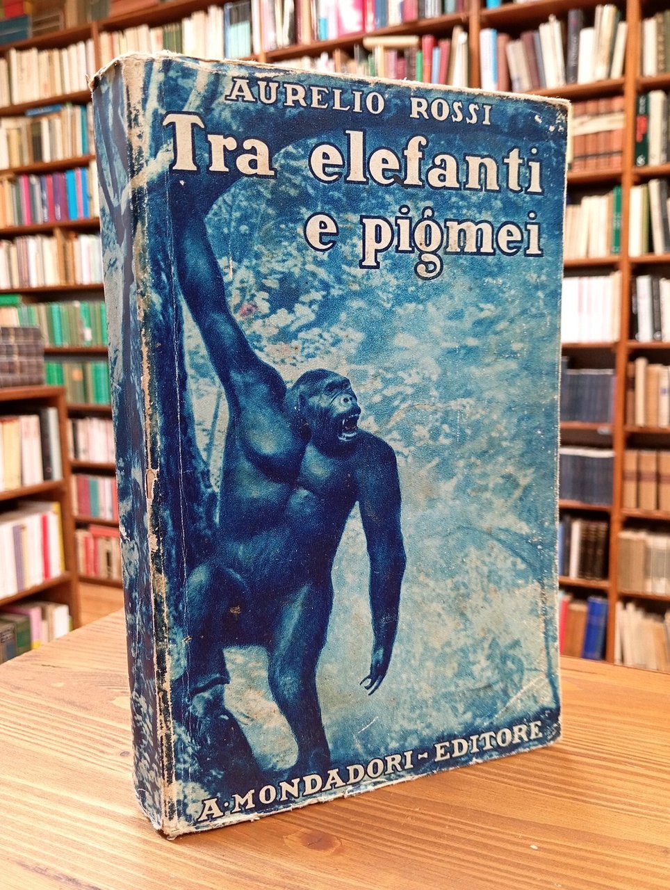 Tra elefanti e pigmei