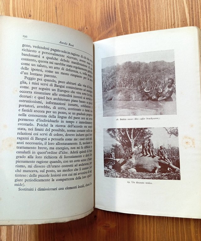 Tra elefanti e pigmei