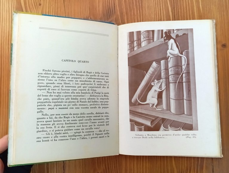 Una famiglia di topi