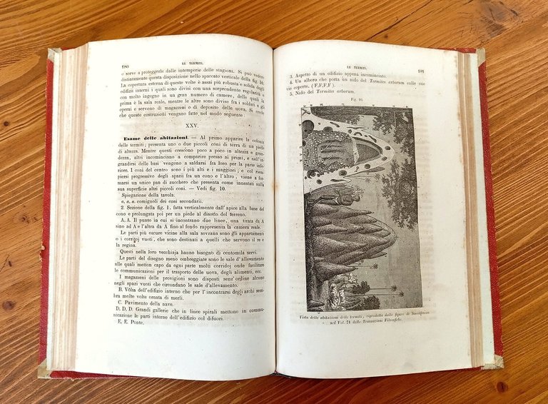 Varietà di Storia Naturale