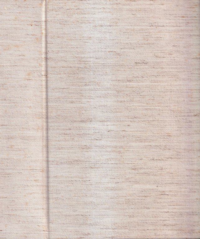 Vita Di Michelangelo Buonarroti Narrata Con L'aiuto Di Nuovi Documenti