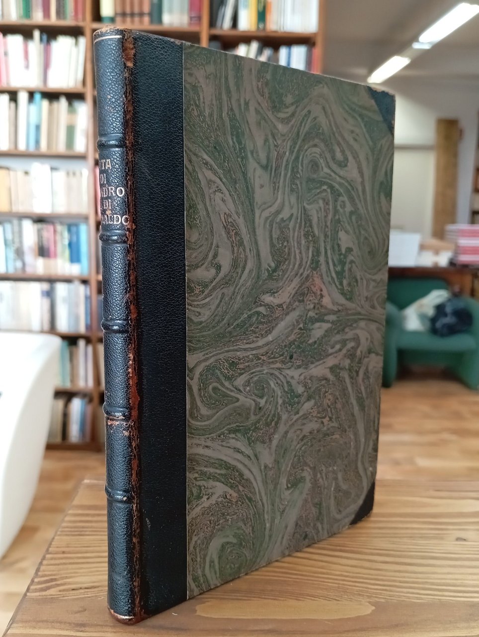 Vita di Sandro e di Arnaldo