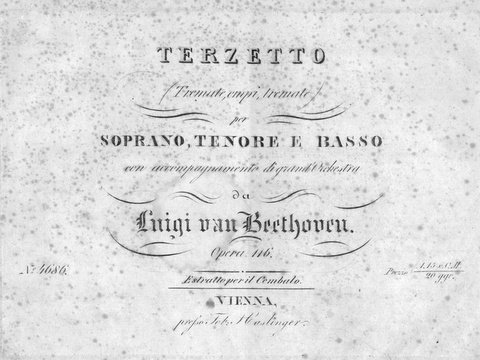 [Op. 116] Terzetto (Tremate, empi, tremate) per soprano, tenore e …