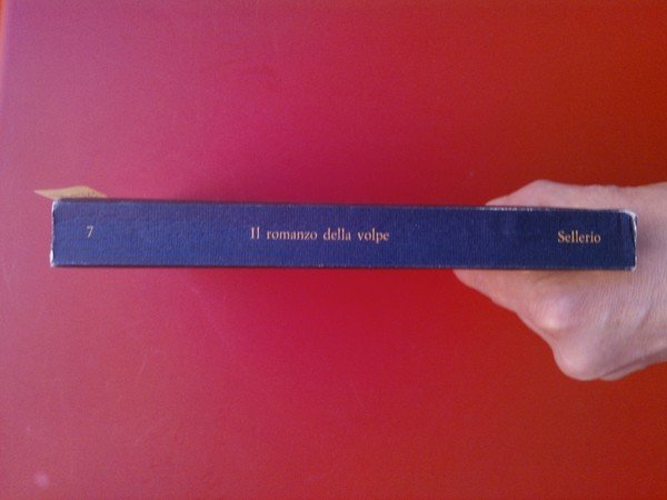 Il romanzo della volpe