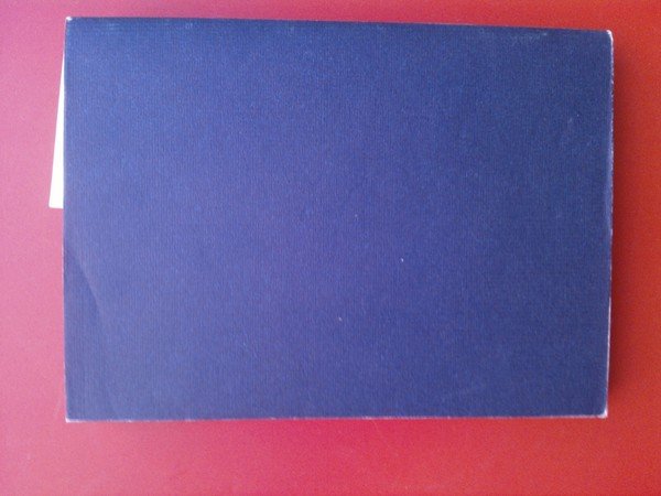 Il romanzo della volpe