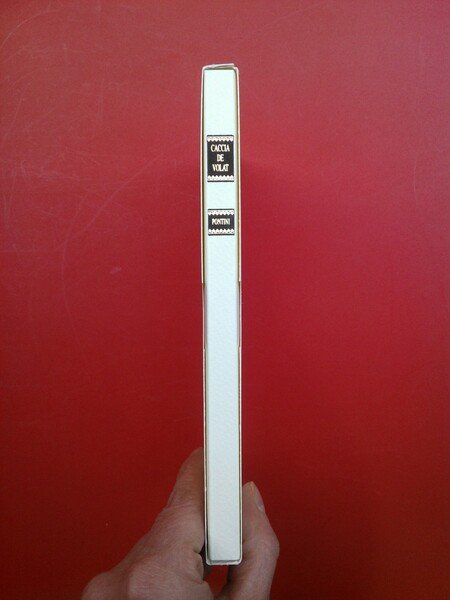 La cacciagione de' volatili