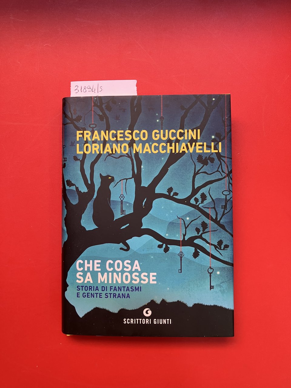 Che cosa sa Minosse. Storia di fantasmi e gente strana