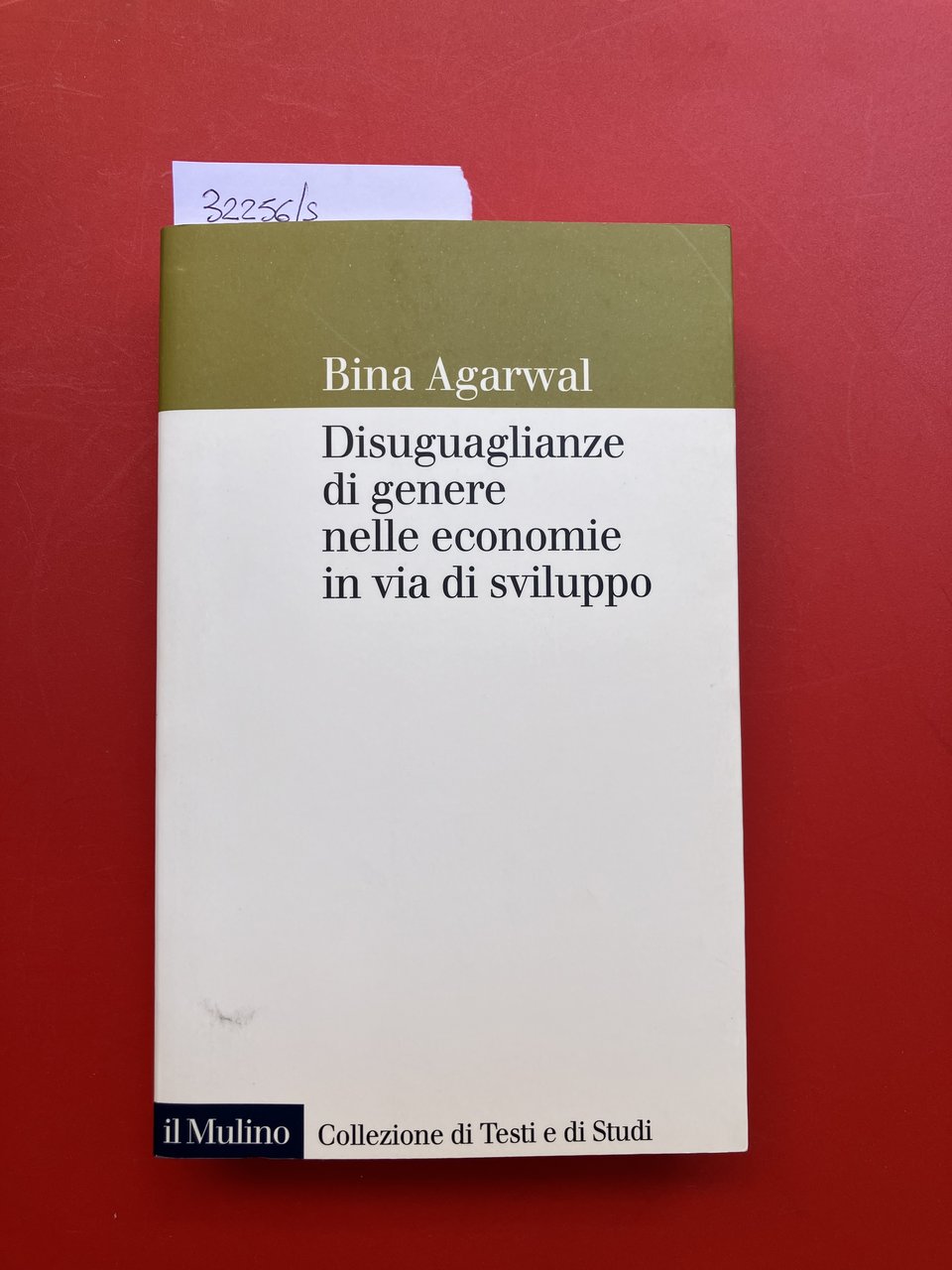 Disuguaglianze di genere nelle economie in via di sviluppo