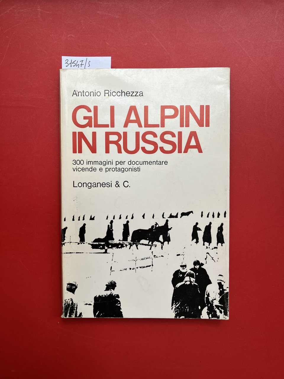 Gli alpini in Russia