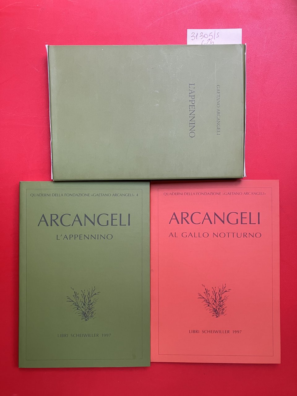 L'Appennino, Al gallo notturno