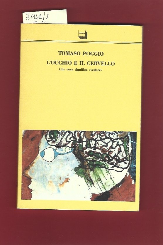 L'occhio e il cervello. Che cosa significa vedere