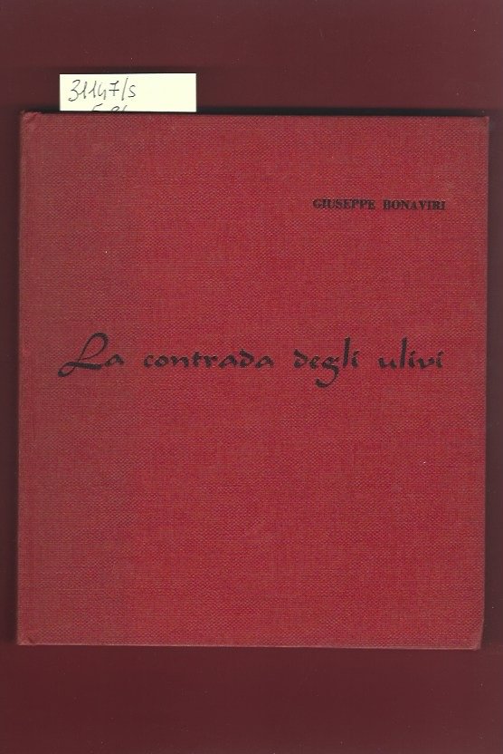 La contrada degli ulivi