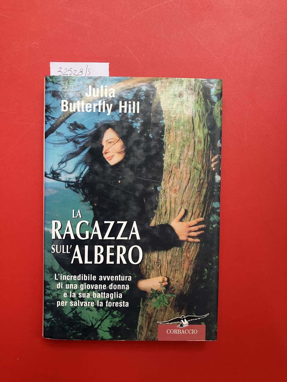 La ragazza sull'albero