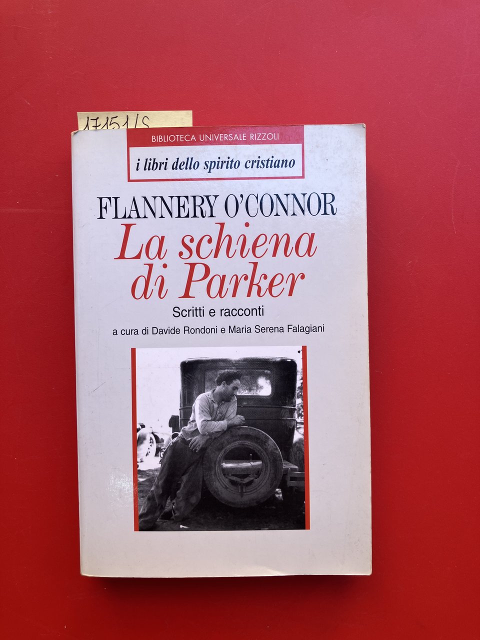 La schiena di Parker. Scritti e racconti