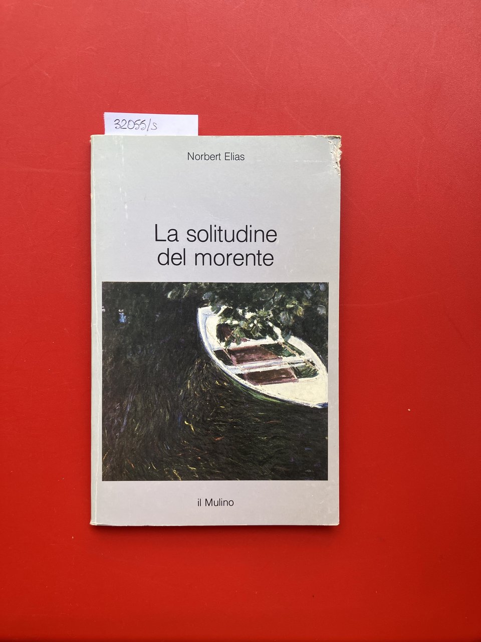 La solitudine del morente