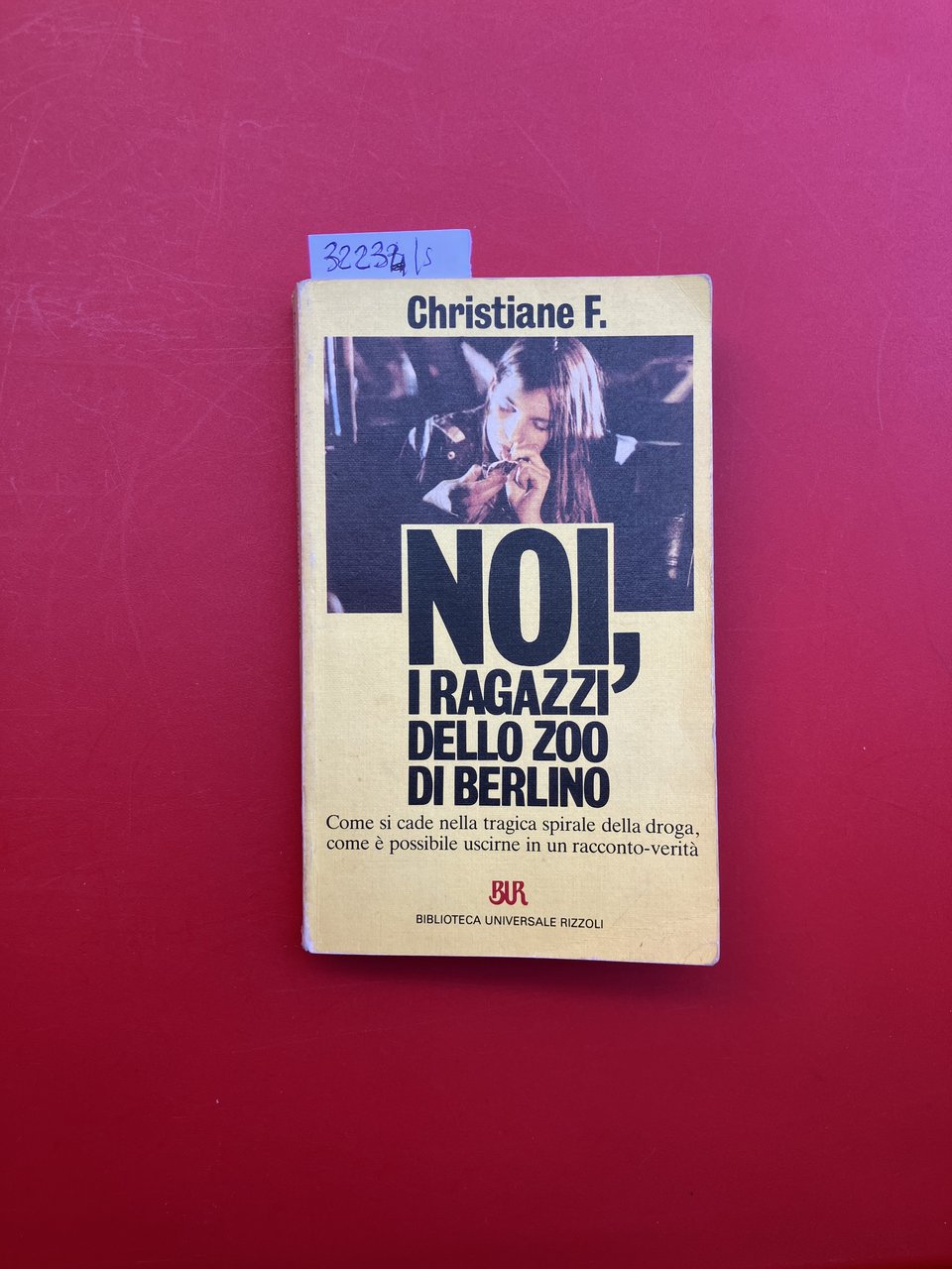 Noi, i ragazzi dello zoo di Berlino | Immagine principale