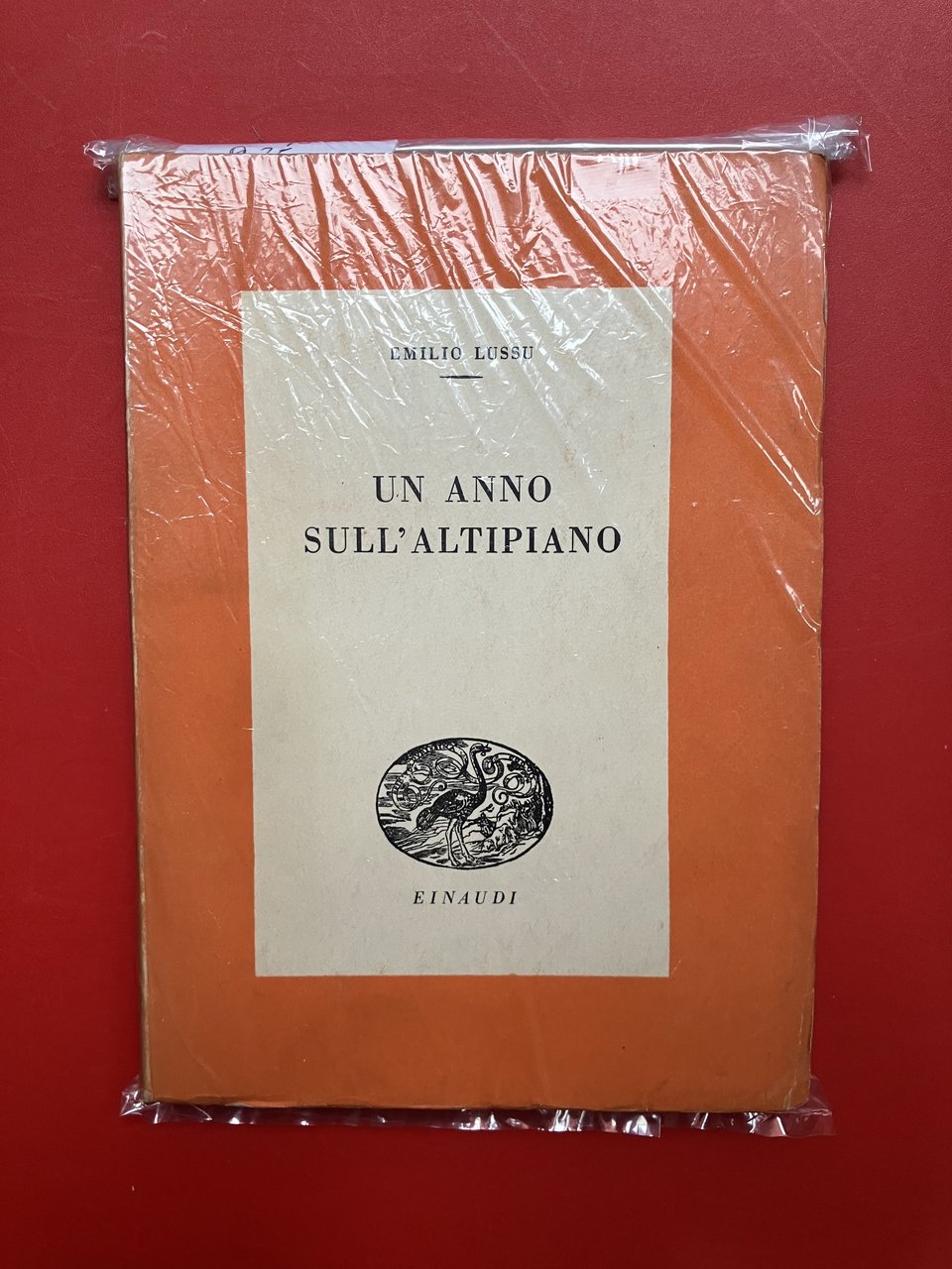 Un anno sull'Altipiano