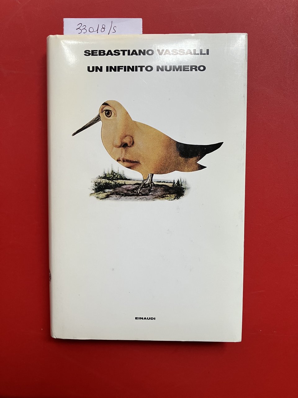 Un infinito numero | Immagine principale