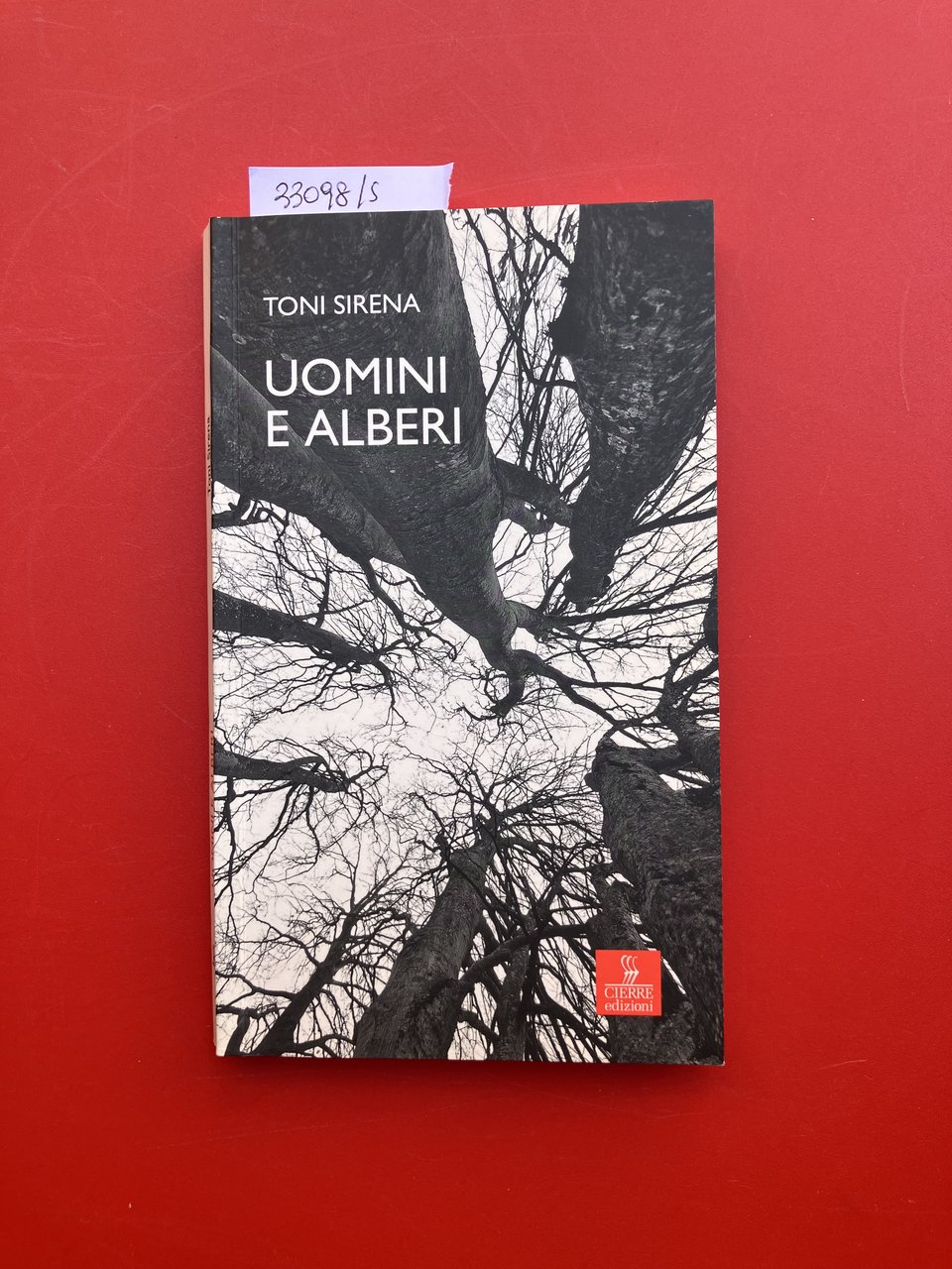 Uomini e alberi | Immagine principale