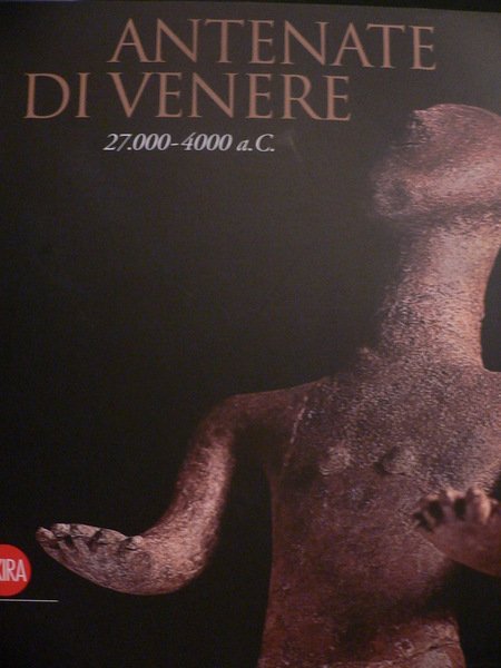 Antenate di Venere