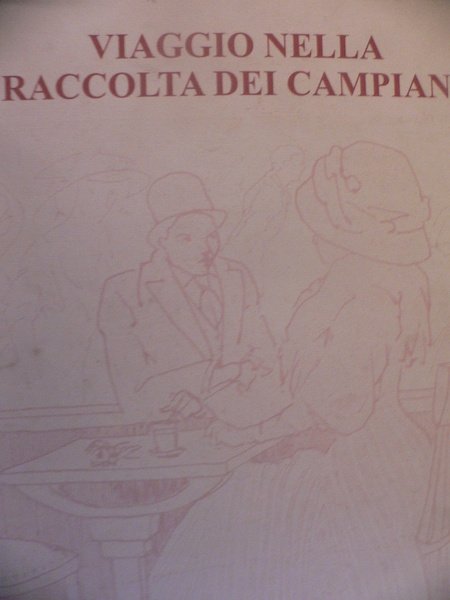 Viaggio nella Raccolta dei Campiani