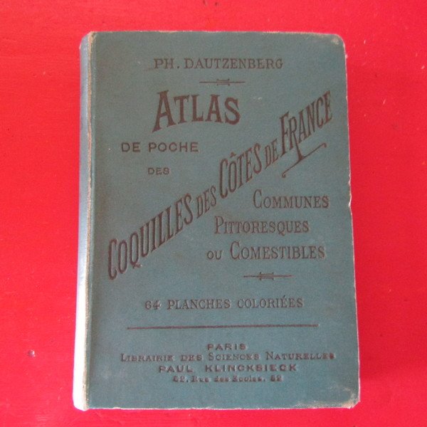 Coquilles des còtes de France