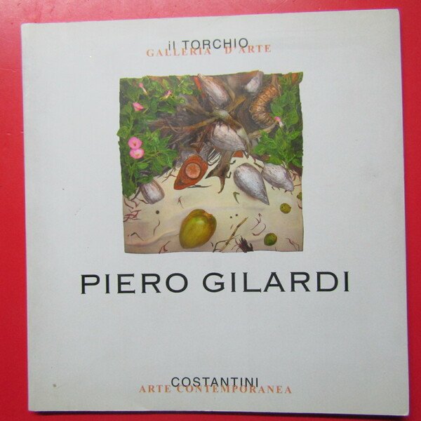 Piero Gilardi | Immagine principale