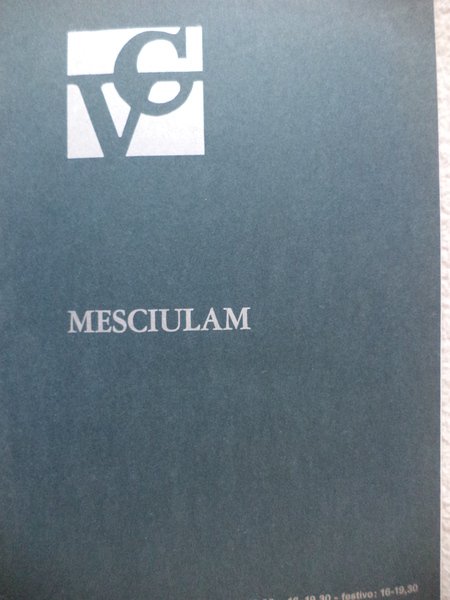 Plinio Mesciulam