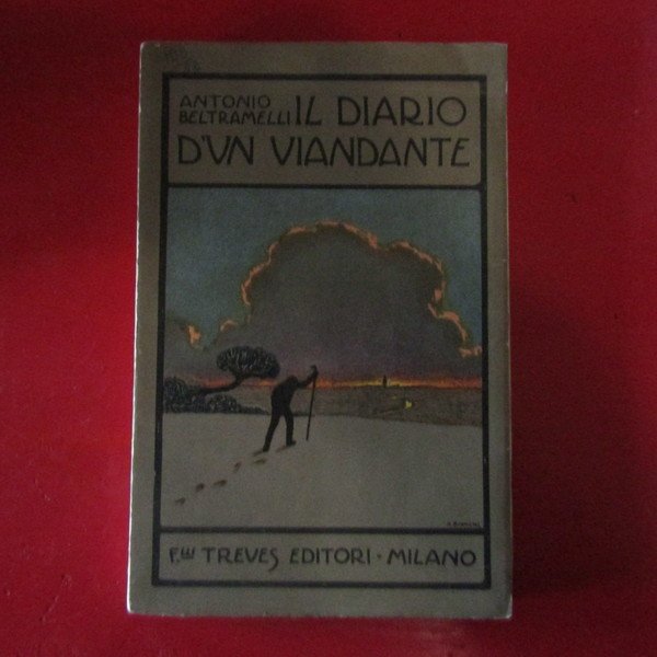 Il diario d'un viandante