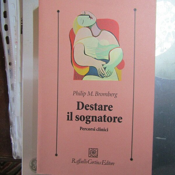Destare il sognatore