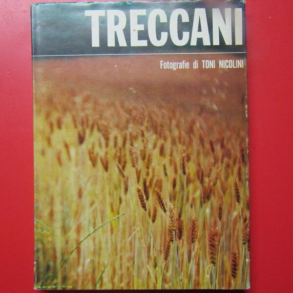Ernesto Treccani