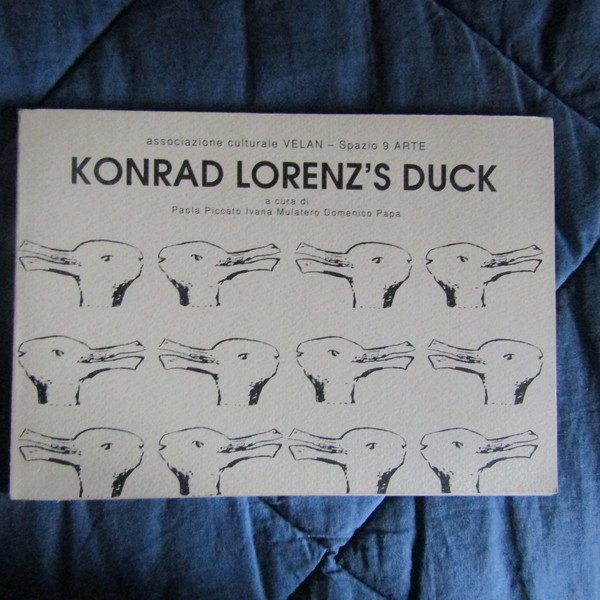 Konrand Lorenz's Duck | Immagine principale