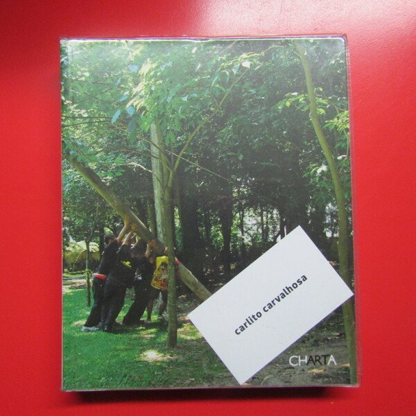 Carlito Carvalhosa Nice to meet you