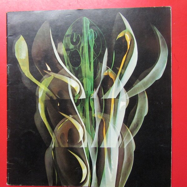 Pasquale D'Orlando | Immagine principale