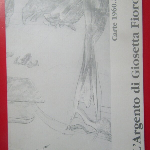 L'Argento di Giosetta Fioroni