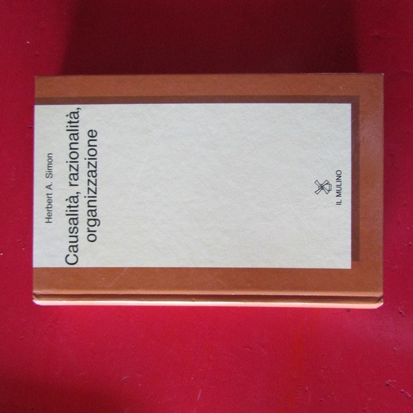 Causalità, razionalità, organizzazione