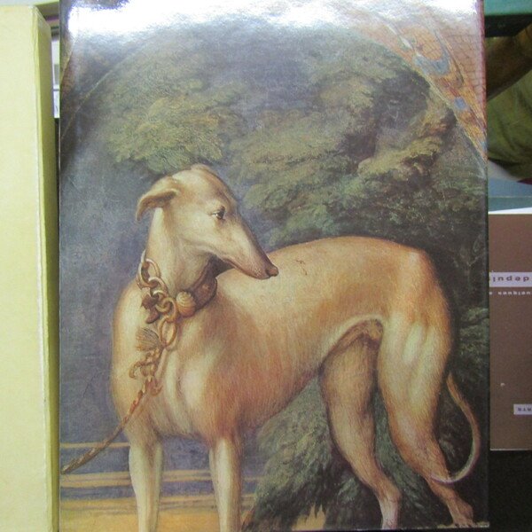 Gli affreschi giovanili del Parmigianino