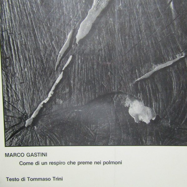 Marco Gastini