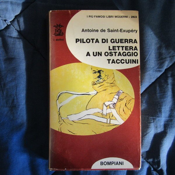 Pilota di guerra | Immagine Gallery 1