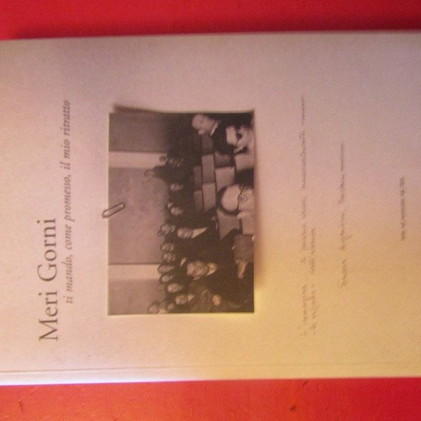 Meri Gorni