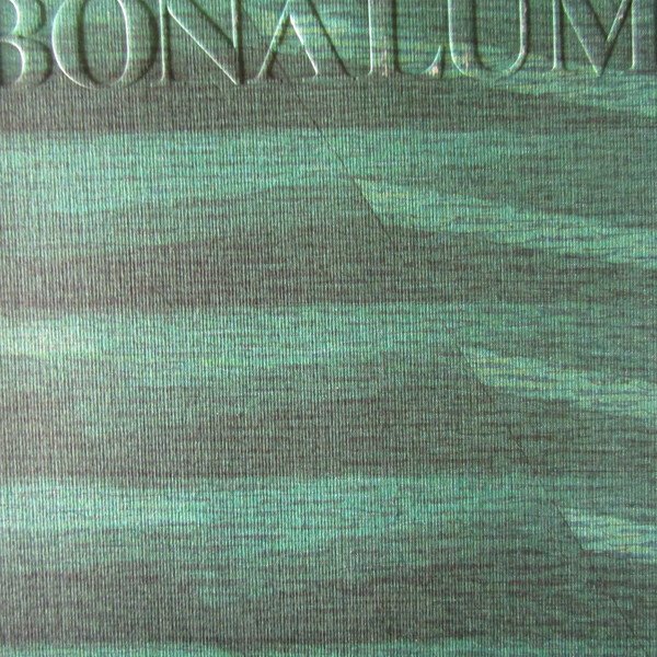 Agostino Bonalumi | Immagine principale