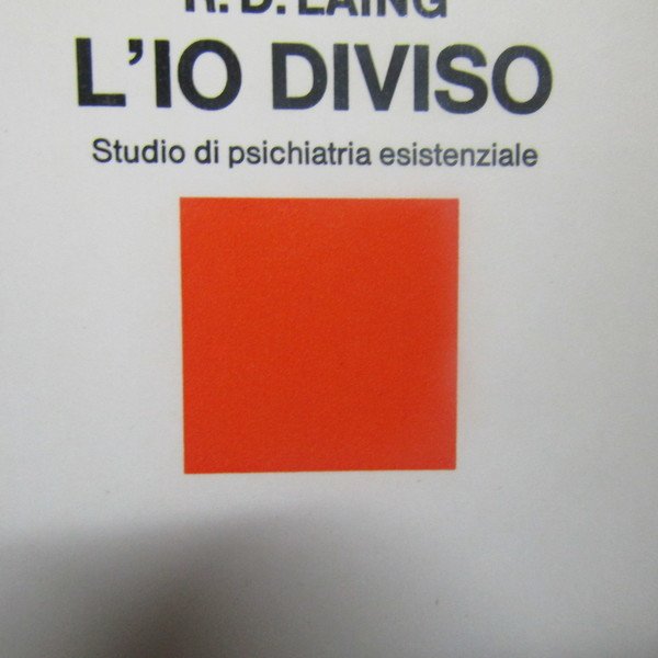 L'io diviso