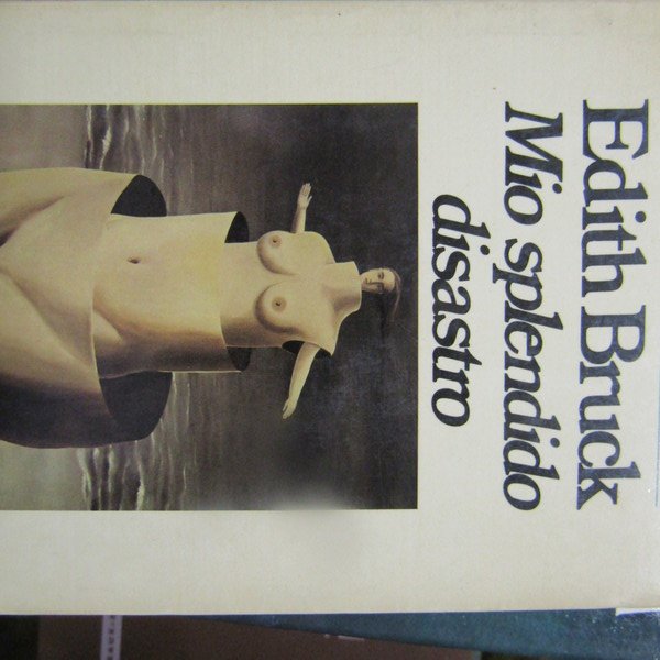 Mio splendido disastro