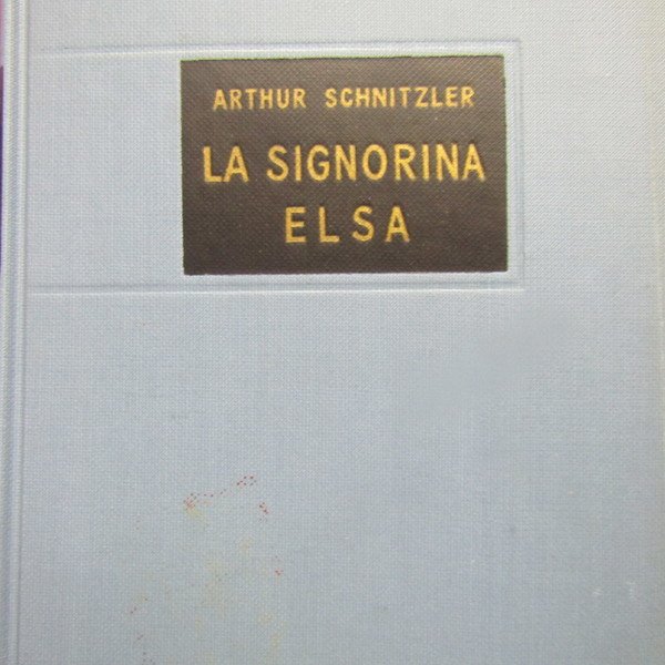La signorina Elsa