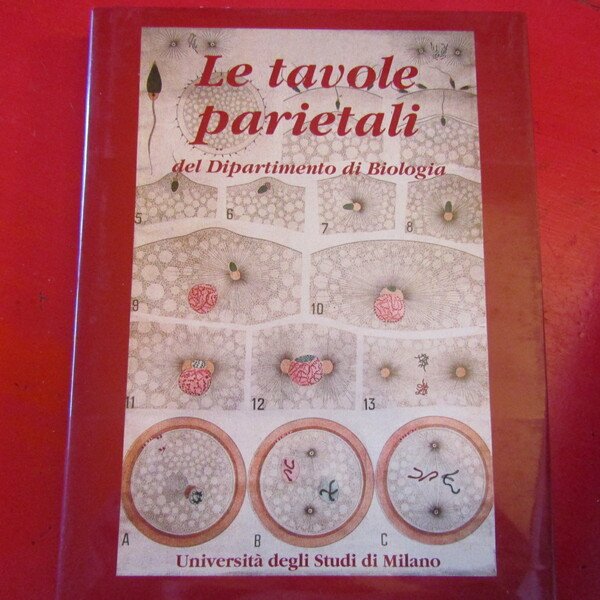 Le Tavole Parietali del Dipartimento di Biologia