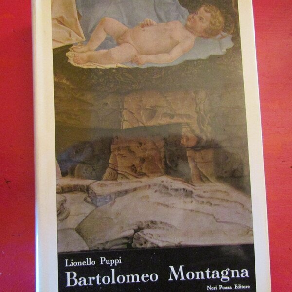 Bartolomeo Montagna | Immagine principale